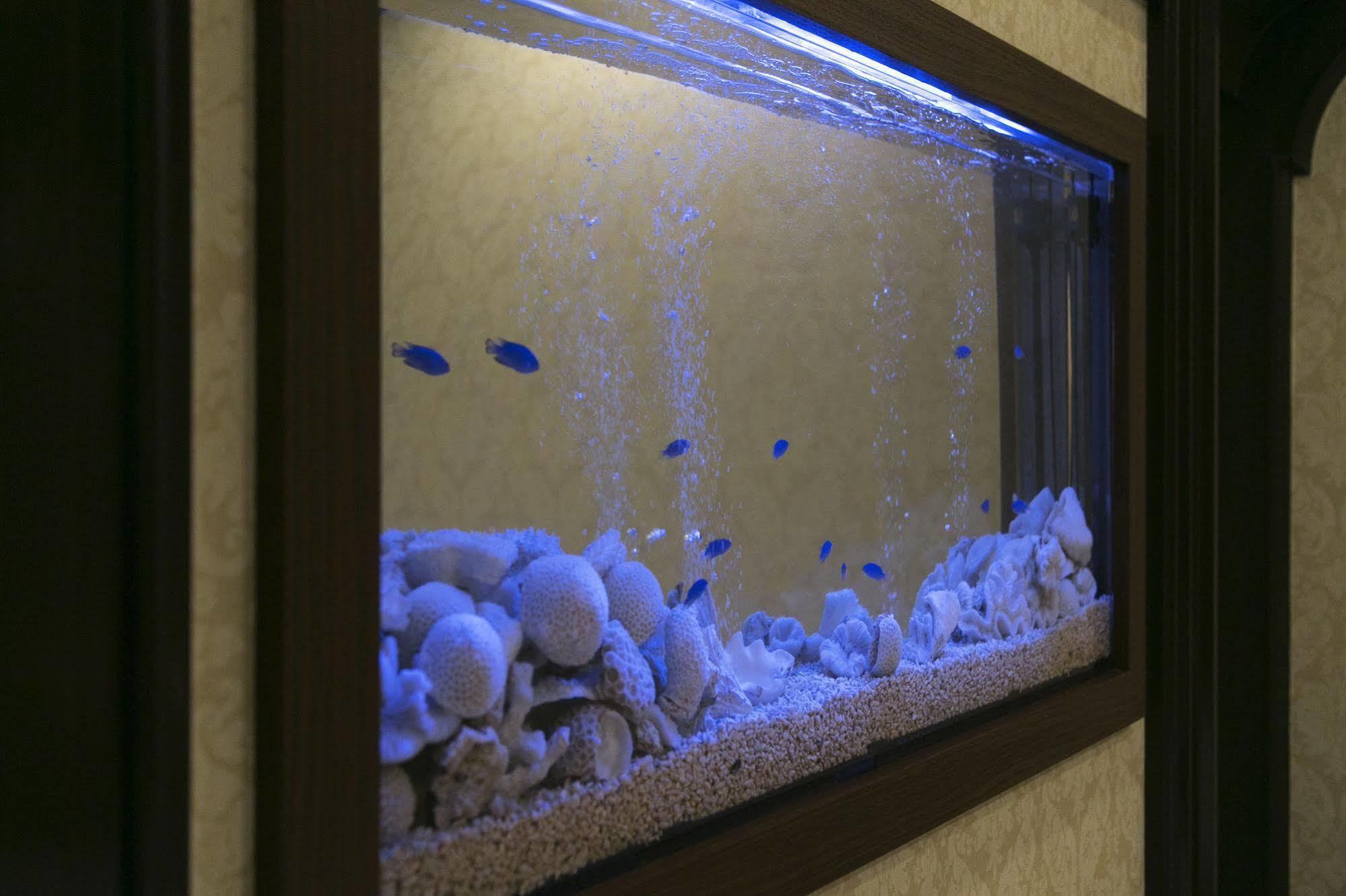 Hotel Atlantis Toyonaka (Adults Only) Экстерьер фото
